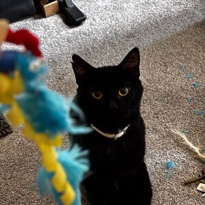 Meet your Posher, Jade